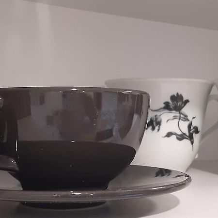 Lemuria Apartament Szkolna Centrum 莱格尼察 外观 照片