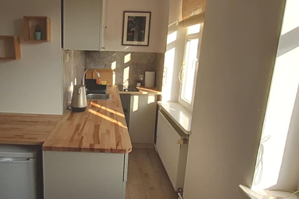 Lemuria Apartament Szkolna Centrum 莱格尼察 外观 照片