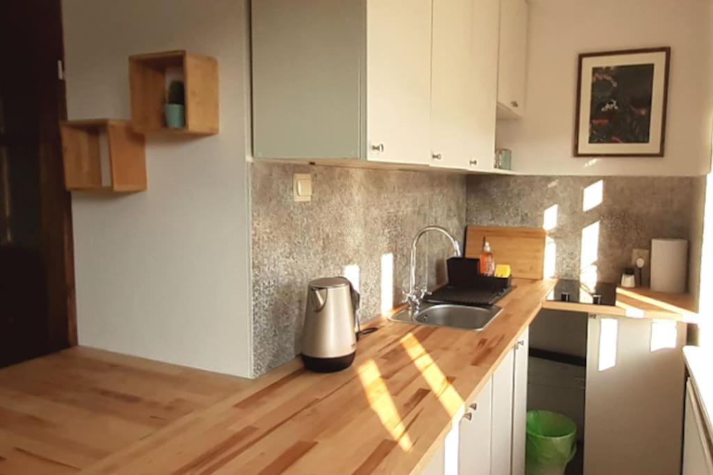 Lemuria Apartament Szkolna Centrum 莱格尼察 外观 照片