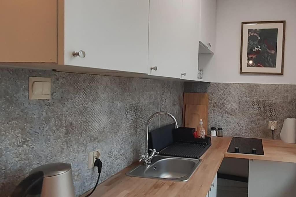 Lemuria Apartament Szkolna Centrum 莱格尼察 外观 照片