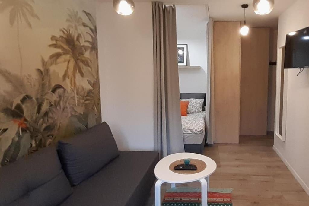 Lemuria Apartament Szkolna Centrum 莱格尼察 外观 照片