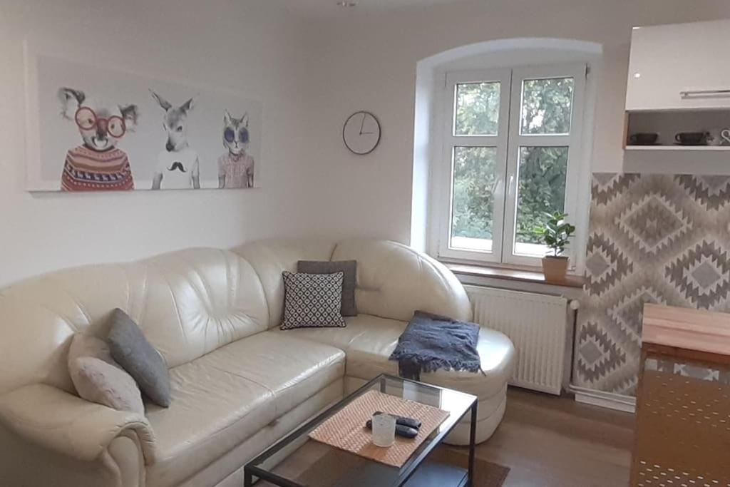 Lemuria Apartament Szkolna Centrum 莱格尼察 外观 照片