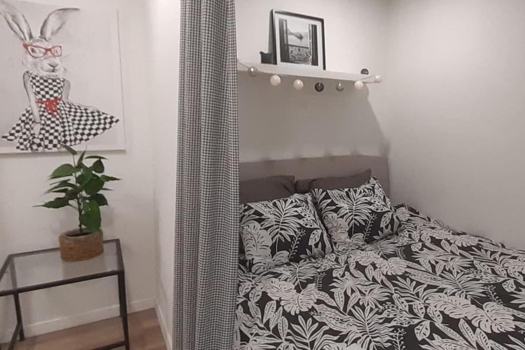 Lemuria Apartament Szkolna Centrum 莱格尼察 外观 照片