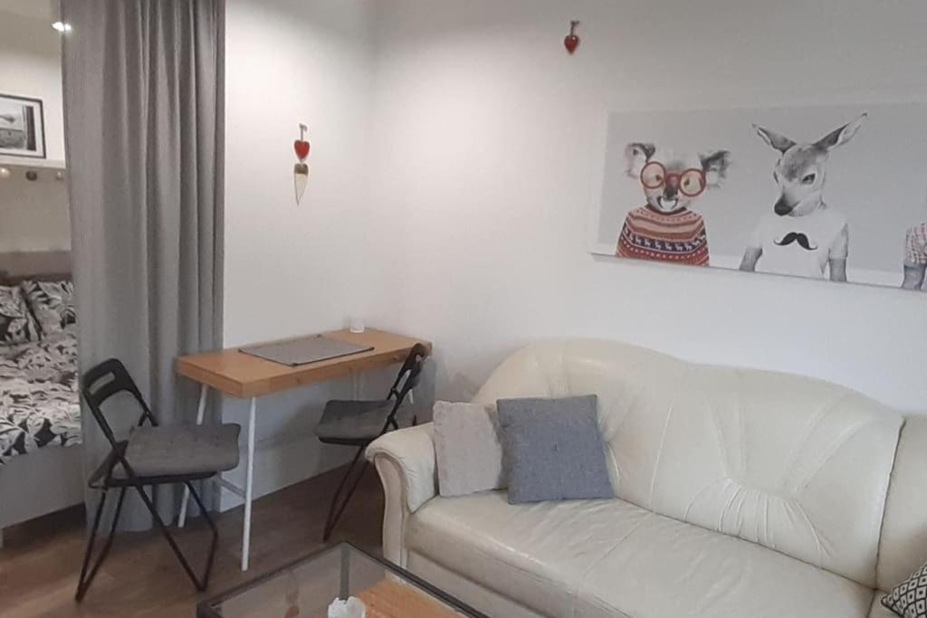Lemuria Apartament Szkolna Centrum 莱格尼察 外观 照片