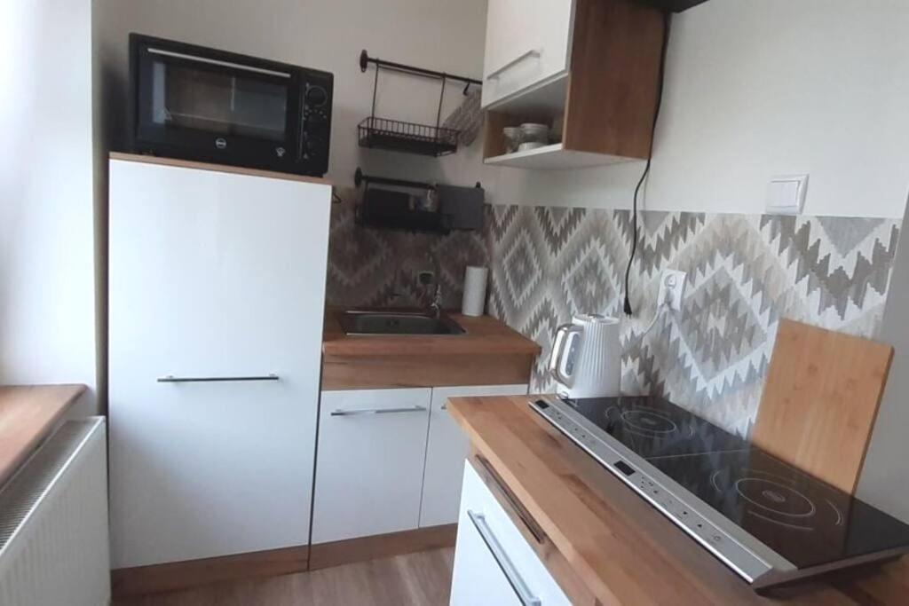 Lemuria Apartament Szkolna Centrum 莱格尼察 外观 照片