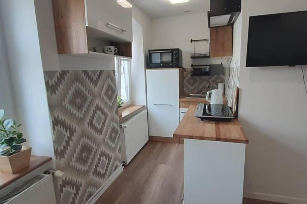 Lemuria Apartament Szkolna Centrum 莱格尼察 外观 照片