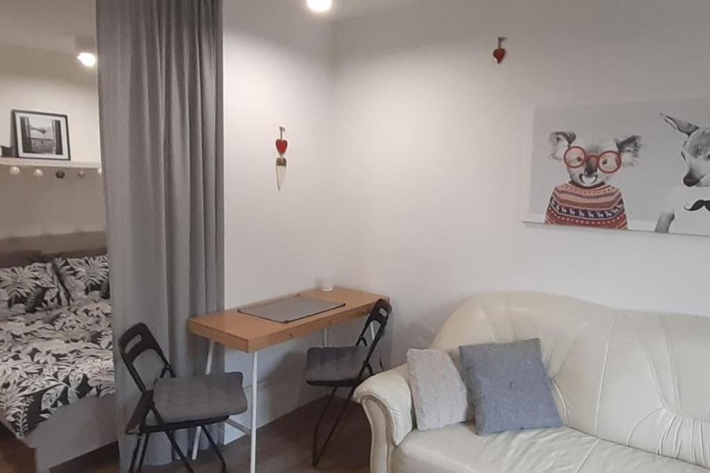 Lemuria Apartament Szkolna Centrum 莱格尼察 外观 照片