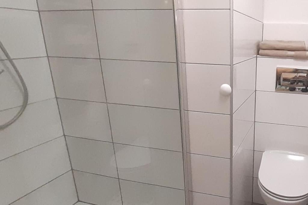 Lemuria Apartament Szkolna Centrum 莱格尼察 外观 照片