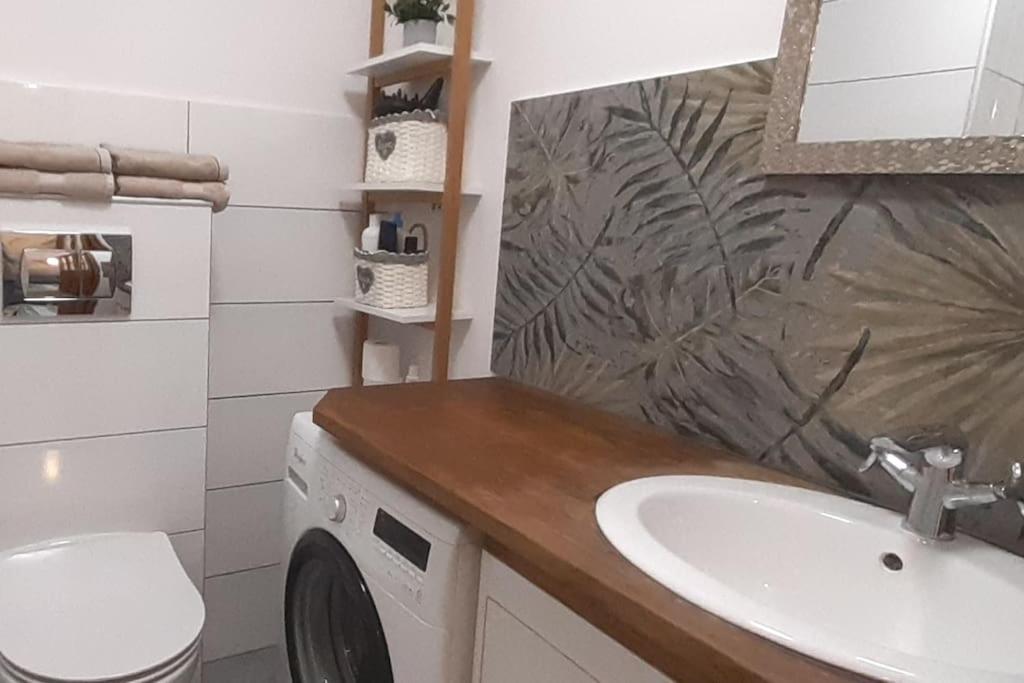 Lemuria Apartament Szkolna Centrum 莱格尼察 外观 照片