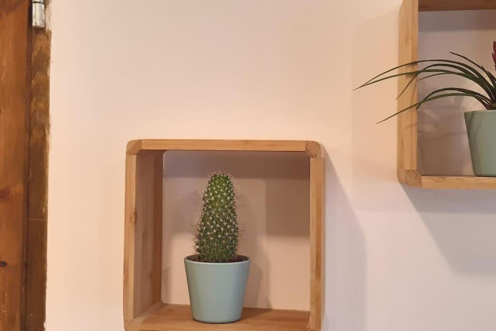 Lemuria Apartament Szkolna Centrum 莱格尼察 外观 照片