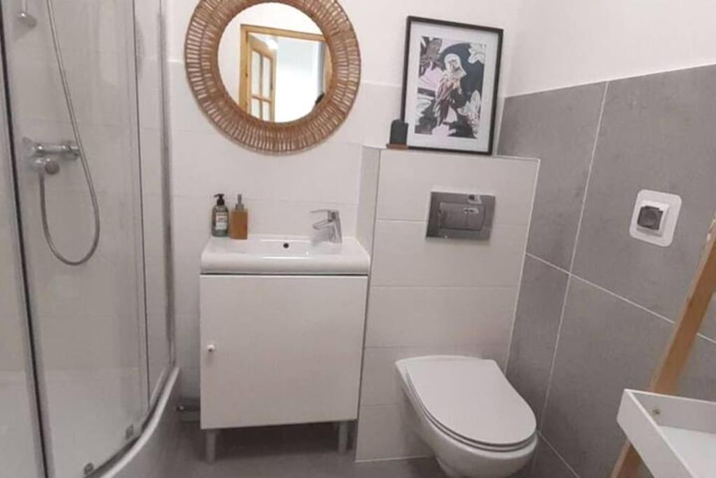 Lemuria Apartament Szkolna Centrum 莱格尼察 外观 照片