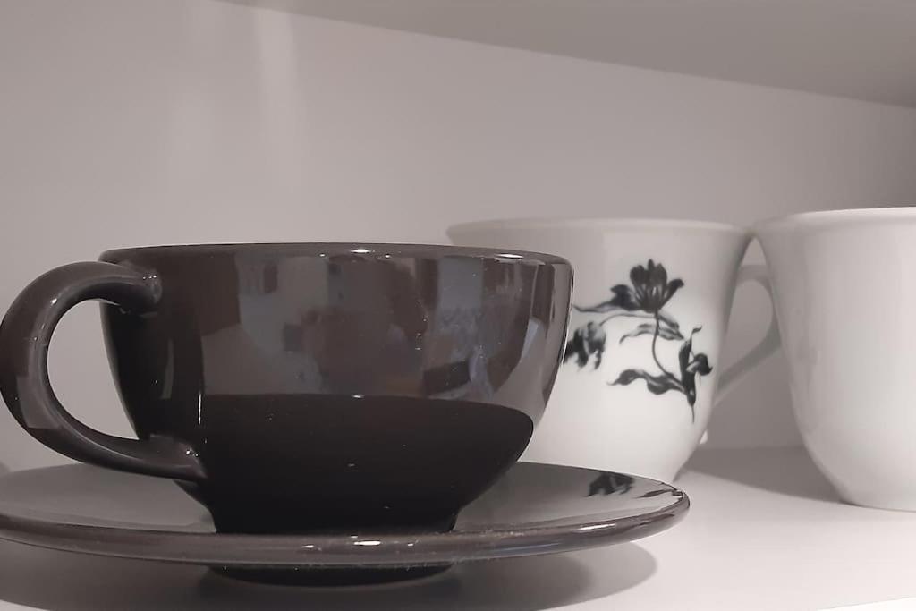 Lemuria Apartament Szkolna Centrum 莱格尼察 外观 照片