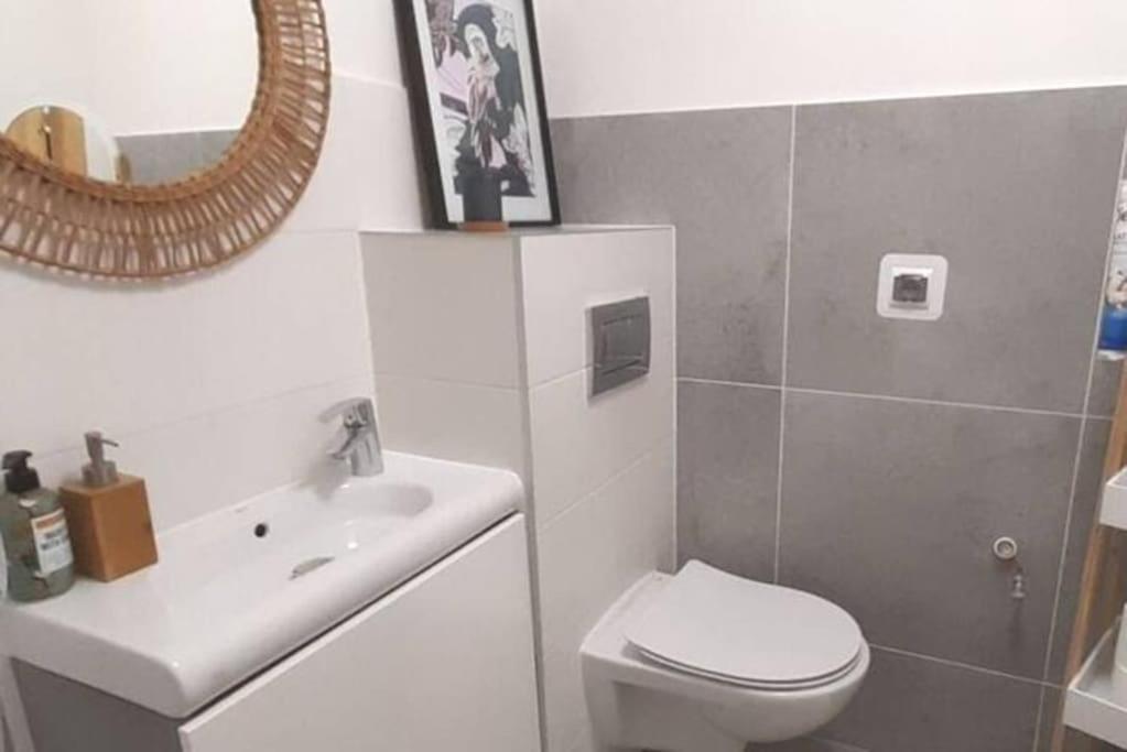 Lemuria Apartament Szkolna Centrum 莱格尼察 外观 照片